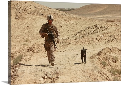 A dog handler walks with an explosives detection dog while on patrol