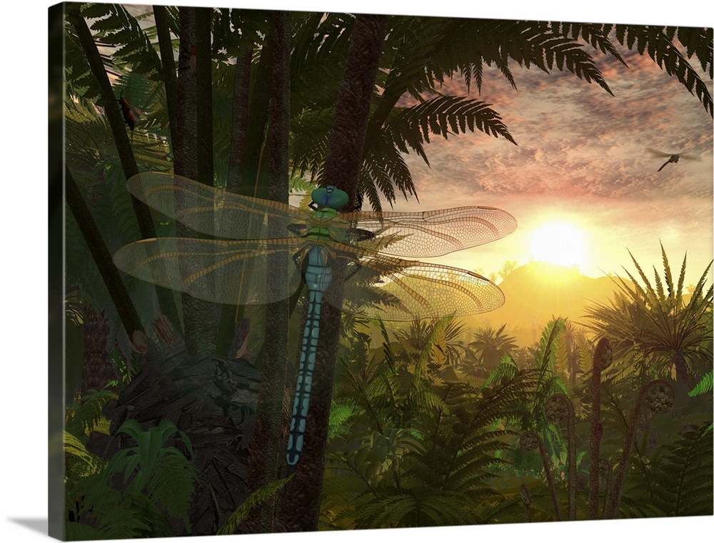 A giant Meganeura with a 30-inch wingspan, resembling and related to present-day dragonflies, is witness to a sunrise in a...
