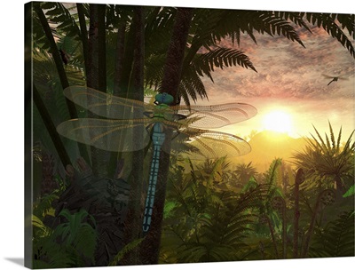 A giant Meganeura with a 30-inch wingspan witnesses a sunrise