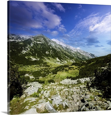 A green valley through Pirin Mountains, Pirin National Park, Bulgaria