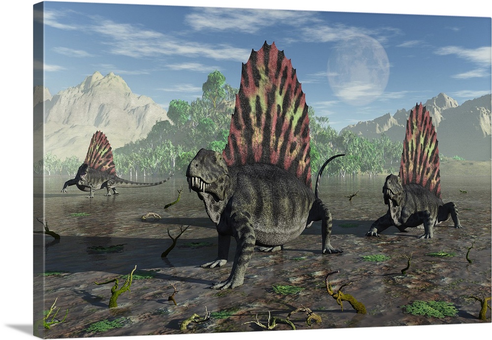 A group of sail-backed carnivorous Dimetrodons during Earth's Permian period.