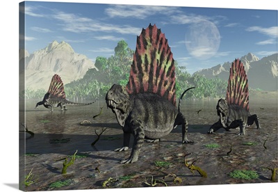 A group of sail-backed carnivorous Dimetrodons during Earth's Permian period.