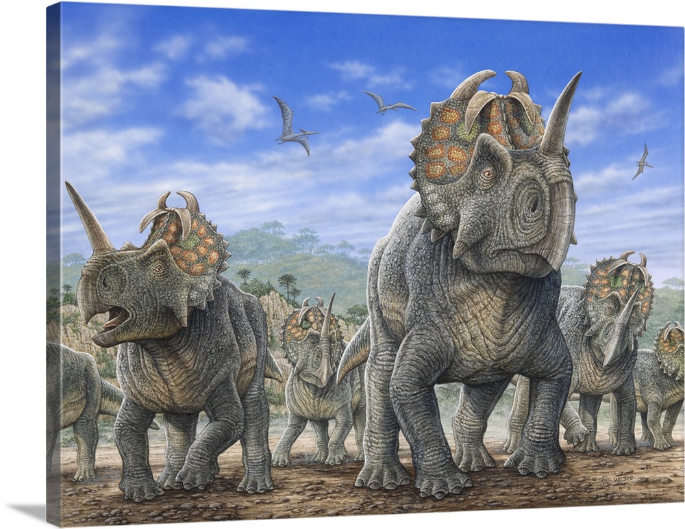 A herd of Centrosaurus dinosaurs.