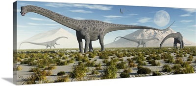 A herd of Diplodocus sauropod dinosaurs during Earth's Jurassic period.