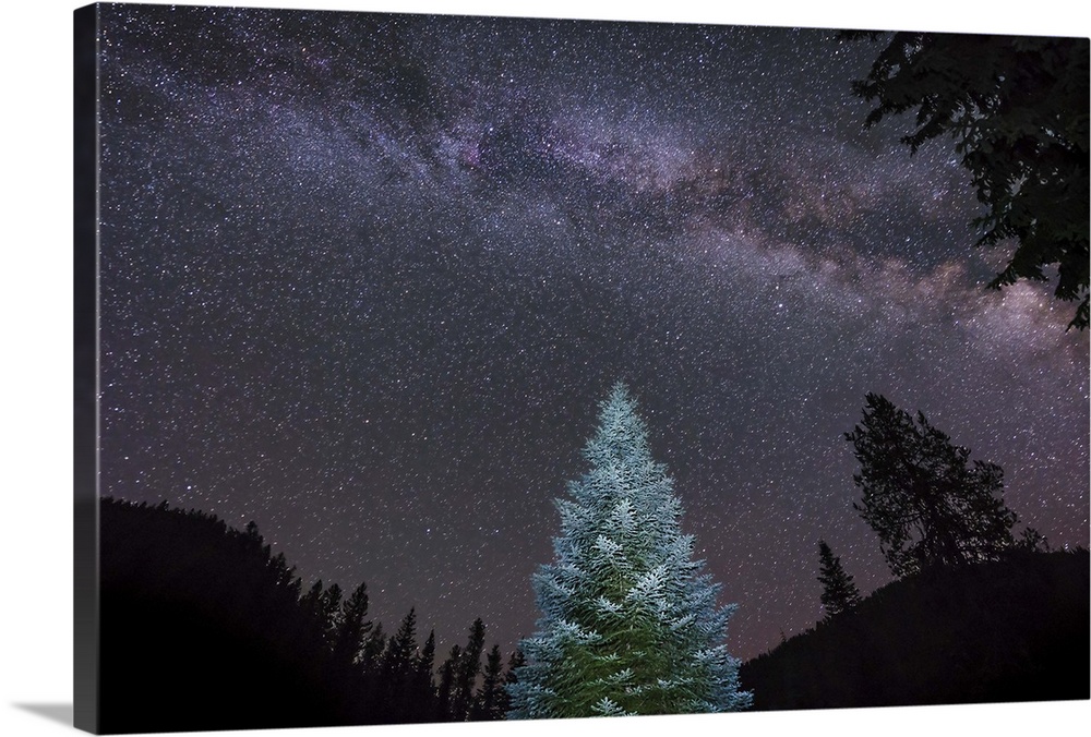 A lone lit pine tree glows under the arch of the Milky Way in Idaho, USA.