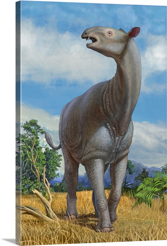 A lone Paraceratherium bugtiense mammal.