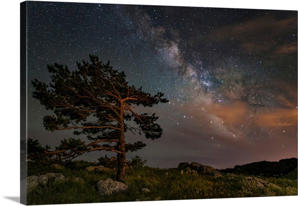 A lone tree on top of a mountain under the stars and Milky Way, Crimea.