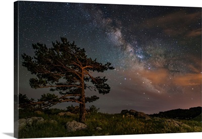 A lone tree on top of a mountain under the stars and Milky Way, Crimea