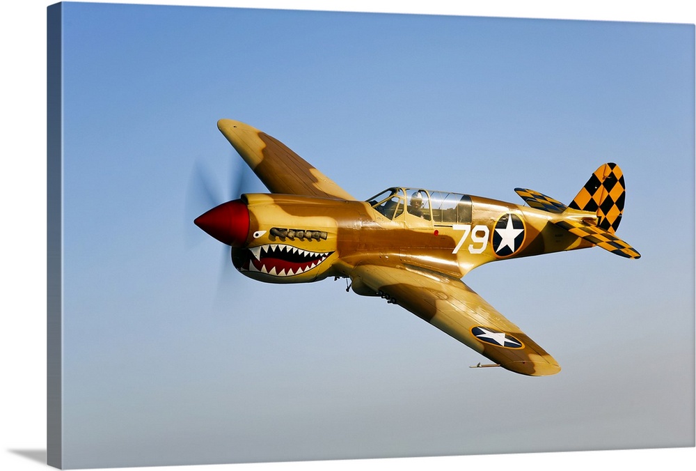 Landscape photograph on a big canvas of a P-40N Warhawk in flight in a clear blue sky, near Chino, California.  Painted wi...