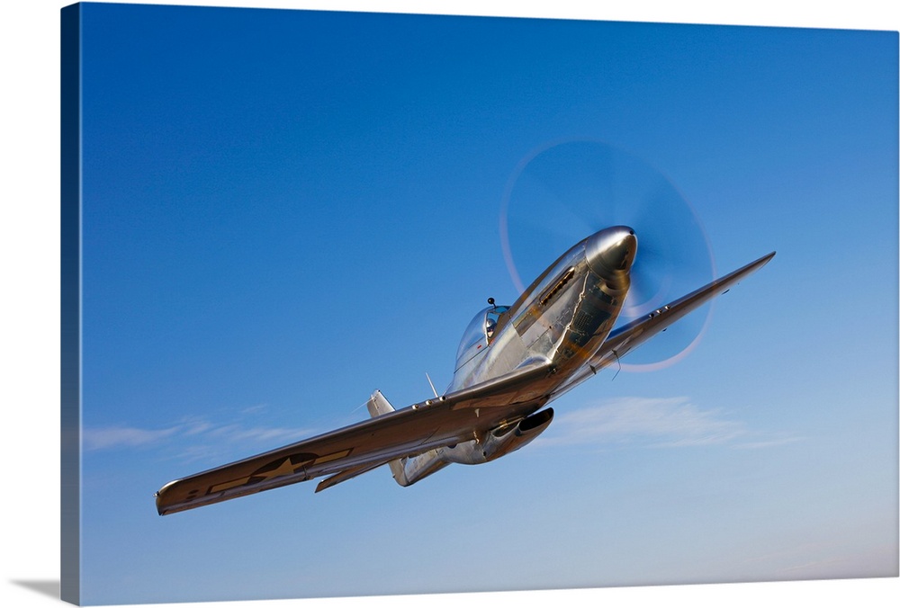 Landscape photograph on a large canvas of a P-51D Mustang in flight, against a bright blue sky near Chino, California.