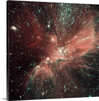 A population of infant stars in the Milky Way satellite galaxy Small Magellanic Cloud