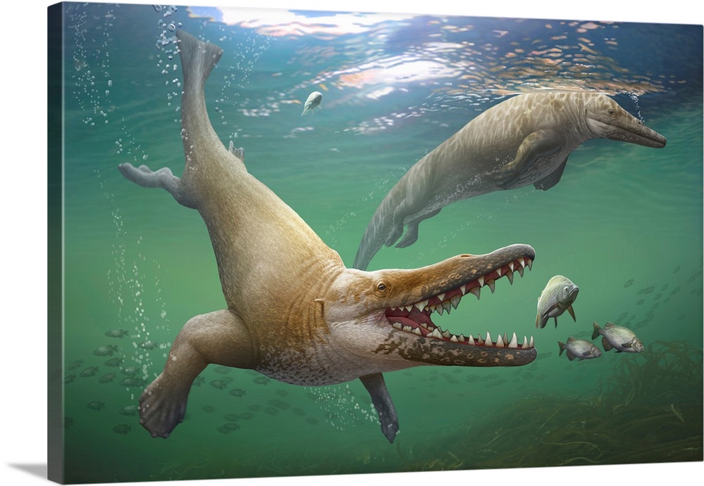 A prehistoric whale, Georgiacetus vogtlensis, catching fish.