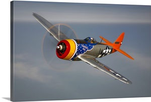 A Republic P 47D Thunderbolt in flight image thumbnail