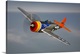 image thumbnail of A Republic P-47D Thunderbolt in flight over Galveston, Texas. This vintage propeller plane is brightly painted.