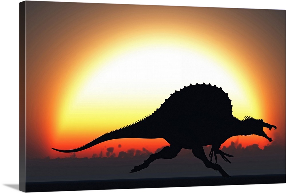 A silhouetted Spinosaurus sprinting against a setting set at the end of another Jurassic day.