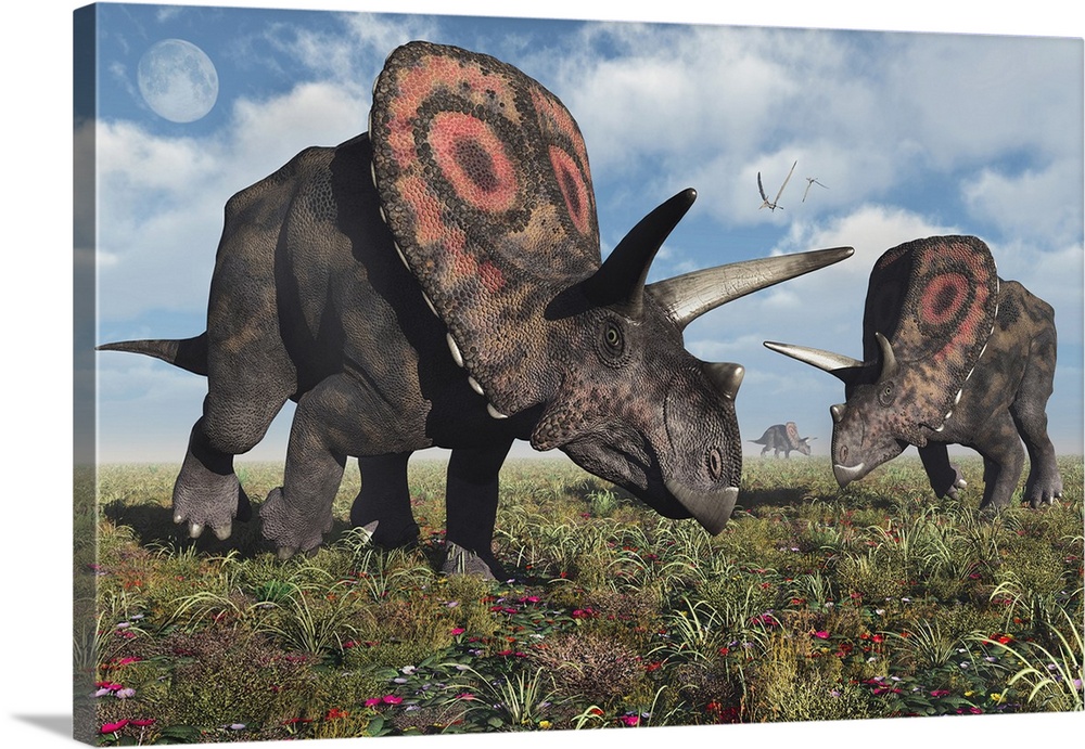 A small herd of Torosaurus dinosaurs during Earth's Cretaceous period.