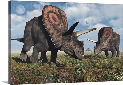 A small herd of Torosaurus dinosaurs during Earth's Cretaceous period.