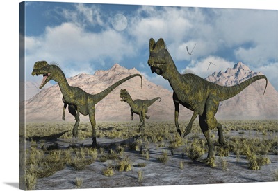 A small pack of carnivorous Dilophosaurus dinosaurs during Earth's Jurassic period.