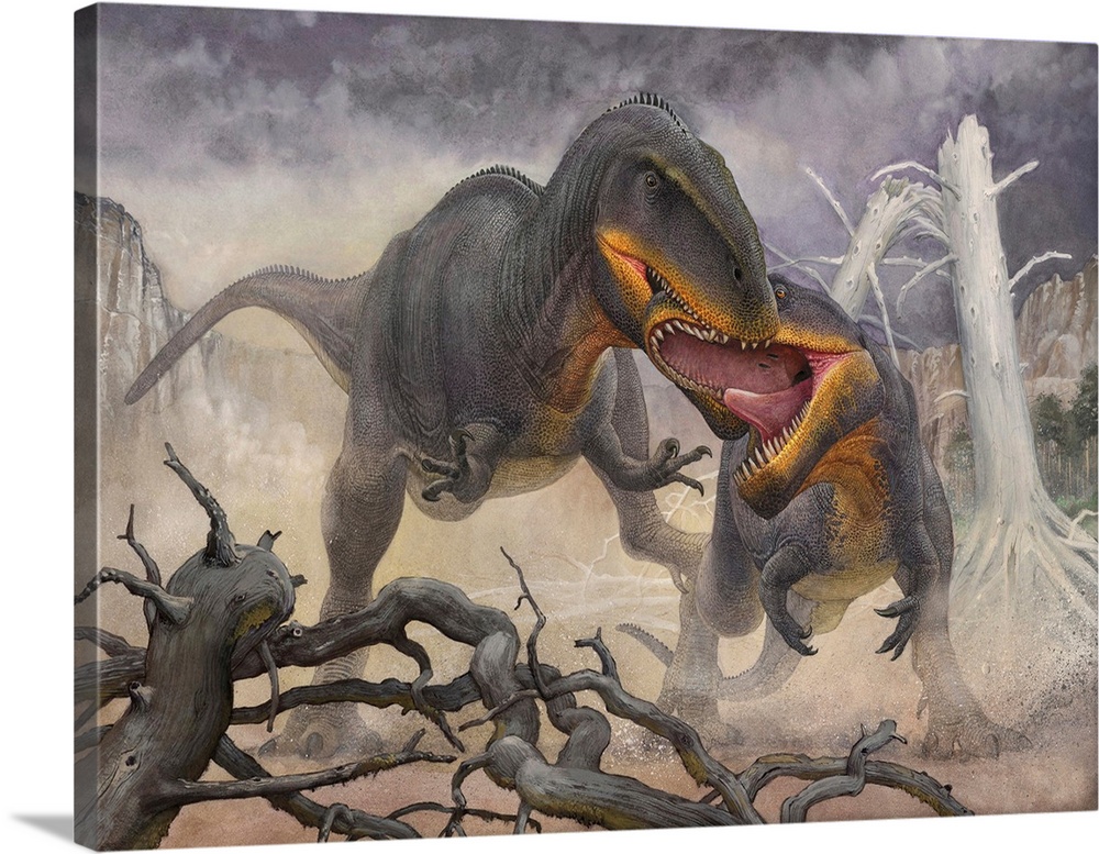 A territorial dispute between a pair of Tyrannotitan male dinosaurs.