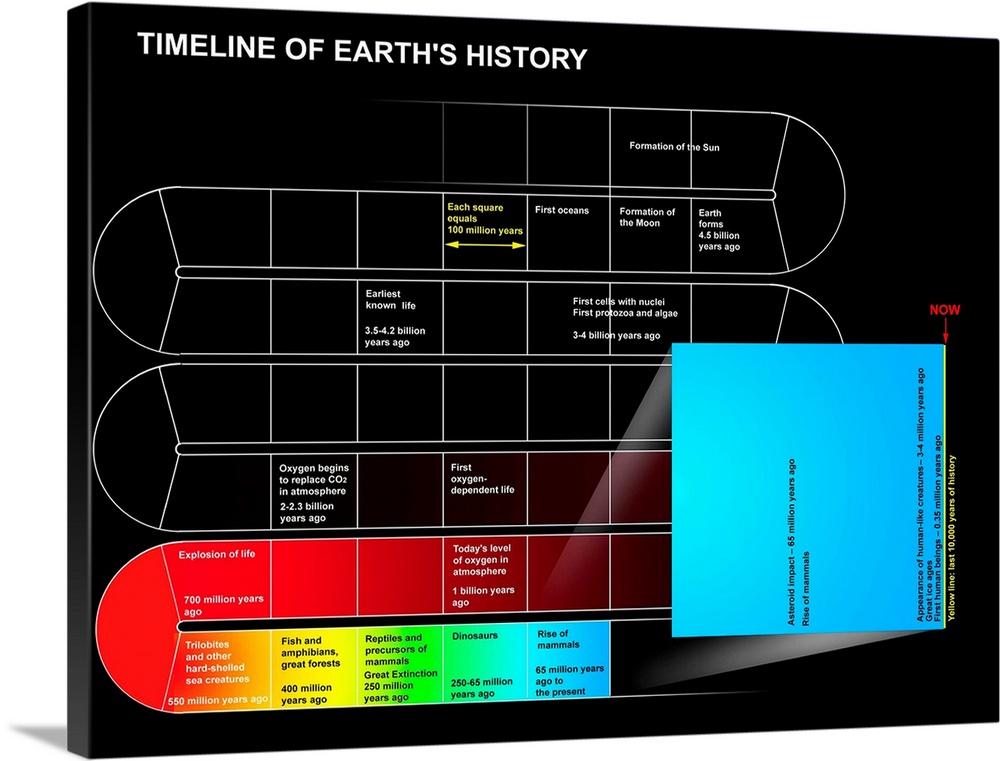 A timeline of Earth's history.