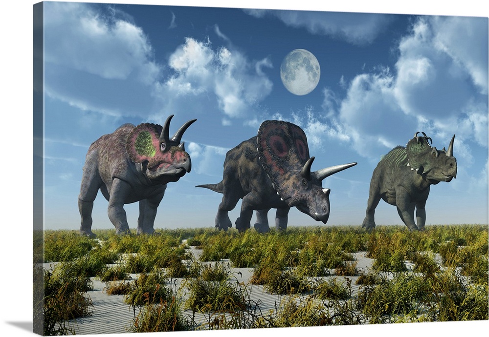 A Triceratops, Torosaurus and Centrosaurus dinosaur.