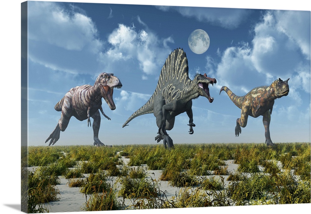 A Tyrannosaurus rex, Spinosaurus and Carnotaurus dinosaur.
