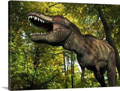 A Tyrannosaurus wanders a Cretaceous forest