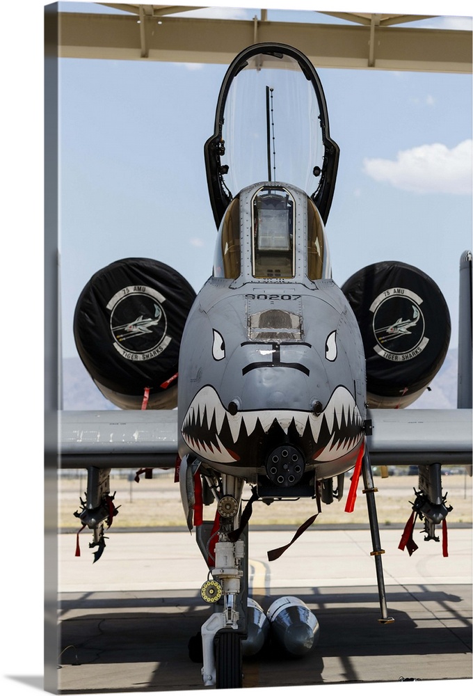 A U.S. Air Force A-10 Thunderbolt II parked at Davis Monthan Air Force Base.
