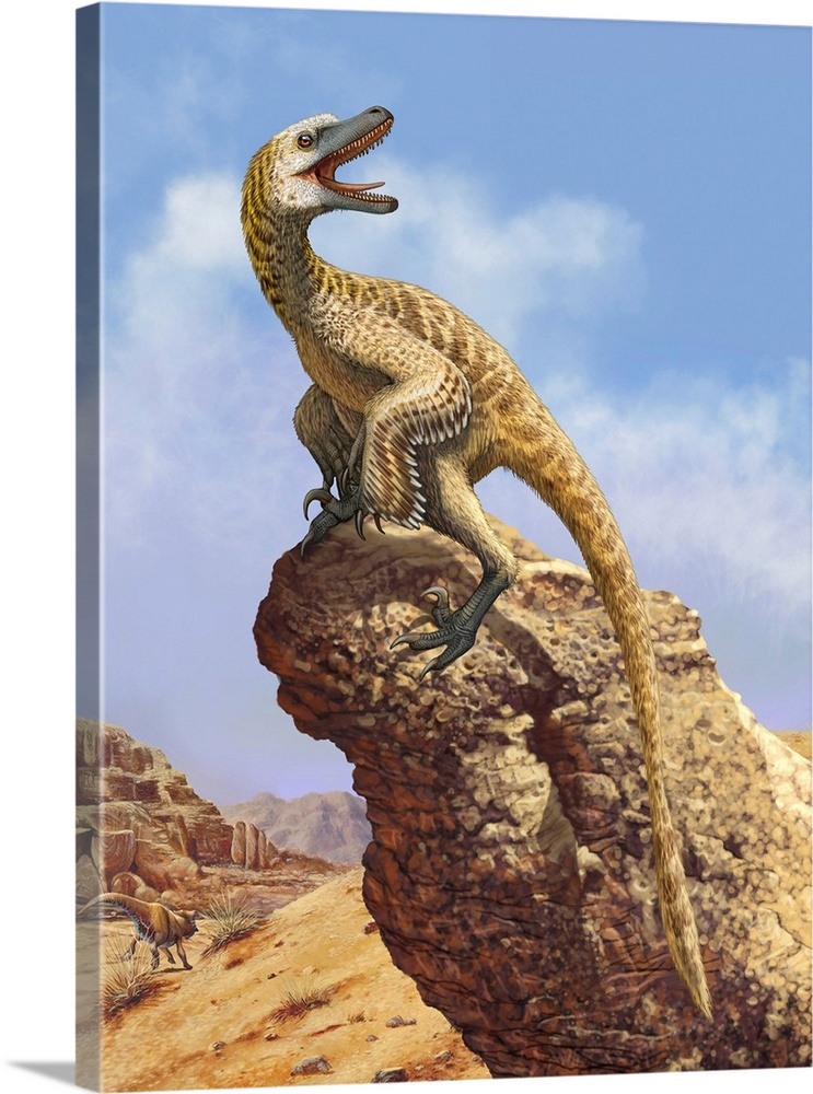 A Velociraptor screams loudly while perched on top of a rock formation.