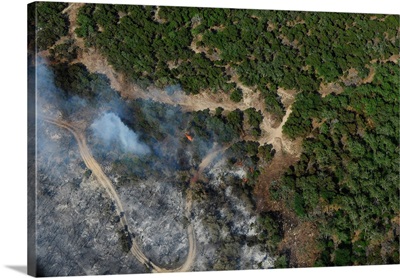 A wildfire burns land near Austin, Texas