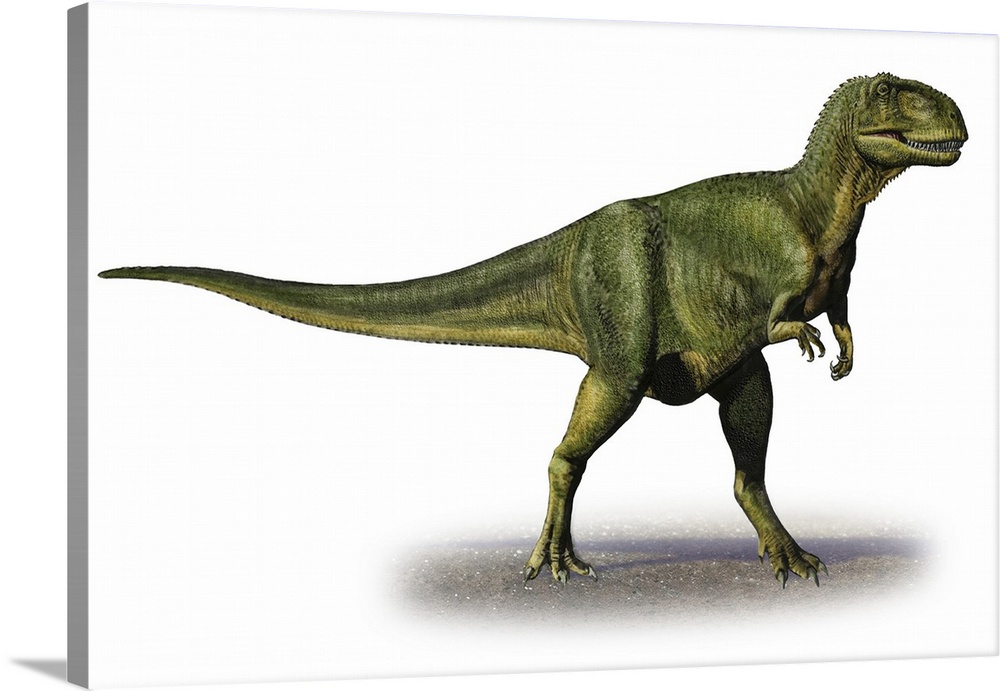 Abelisaurus comahuensis, a prehistoric era dinosaur.