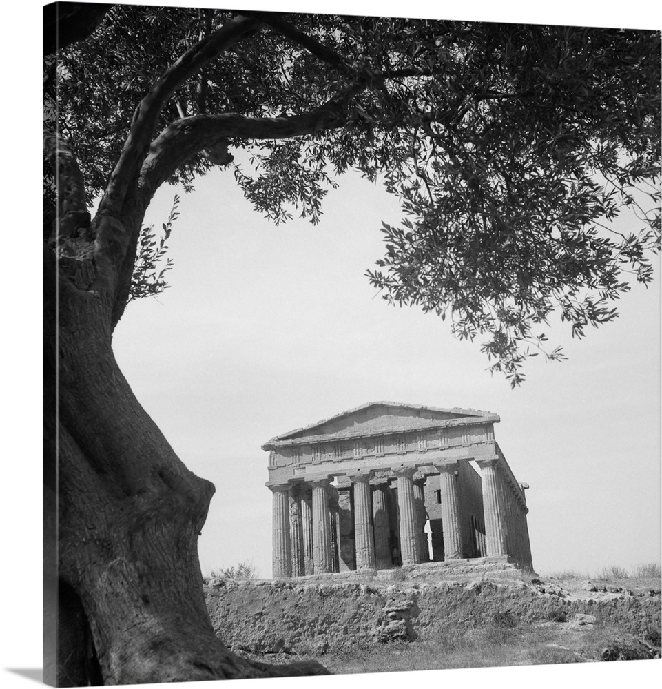 September 1943 - Agrigento, Sicily. An ancient Greek temple still stands after war passed it by.