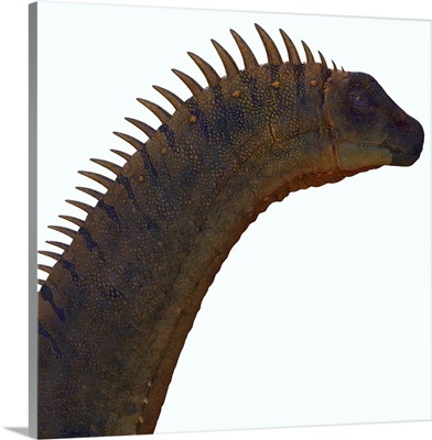 Alamosaurus Dinosaur Head