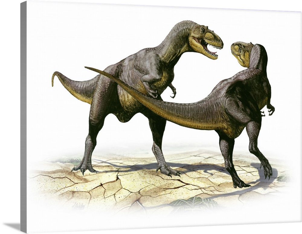 Alectrosaurus olseni, a prehistoric dinosaur.