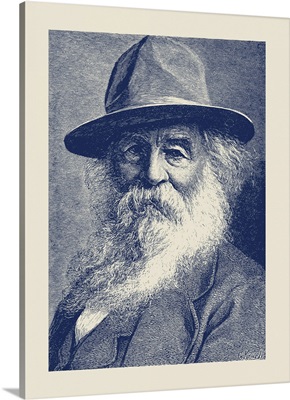 American History Portrait Of American Poet Walt Whitman