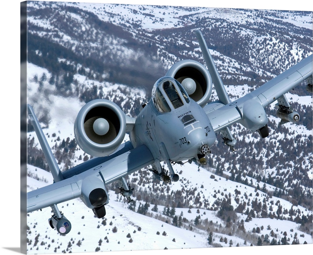 An A-10C Thunderbolt from the 190th Fighter Squadron flies over the snowy Idaho countryside on a training mission out of B...