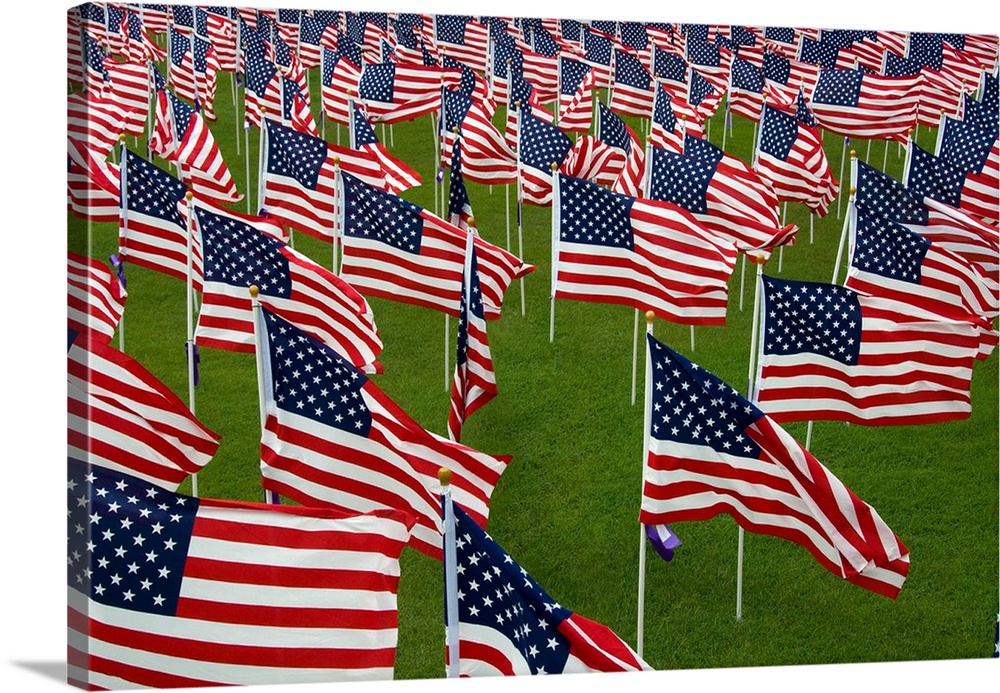 An abundance of American Flags.