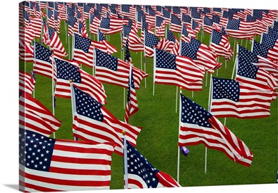 An abundance of American Flags