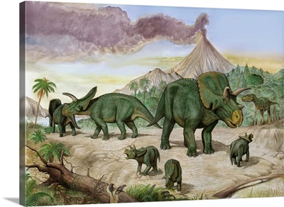 An Albertosaurus observes a family of Arrhinoceratops