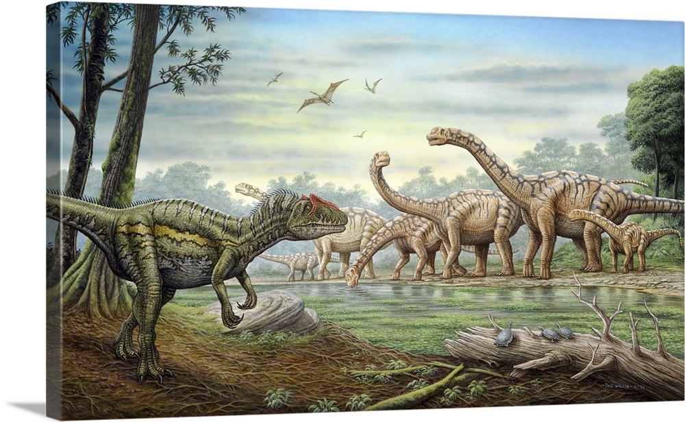 An Allosaurus stalking a herd of Camarasaurus dinosaurs grazing at the water's edge.