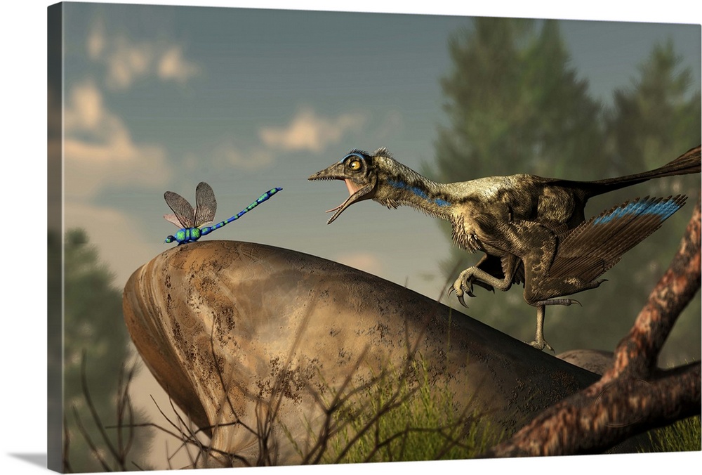 An Archaeopteryx stalks a dragonfly on a rock.