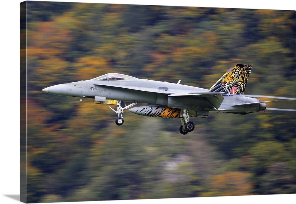 An F/A-18C Hornet jet fighter of the Swiss Air Force landing, Axalp, Meiringen, Switzerland