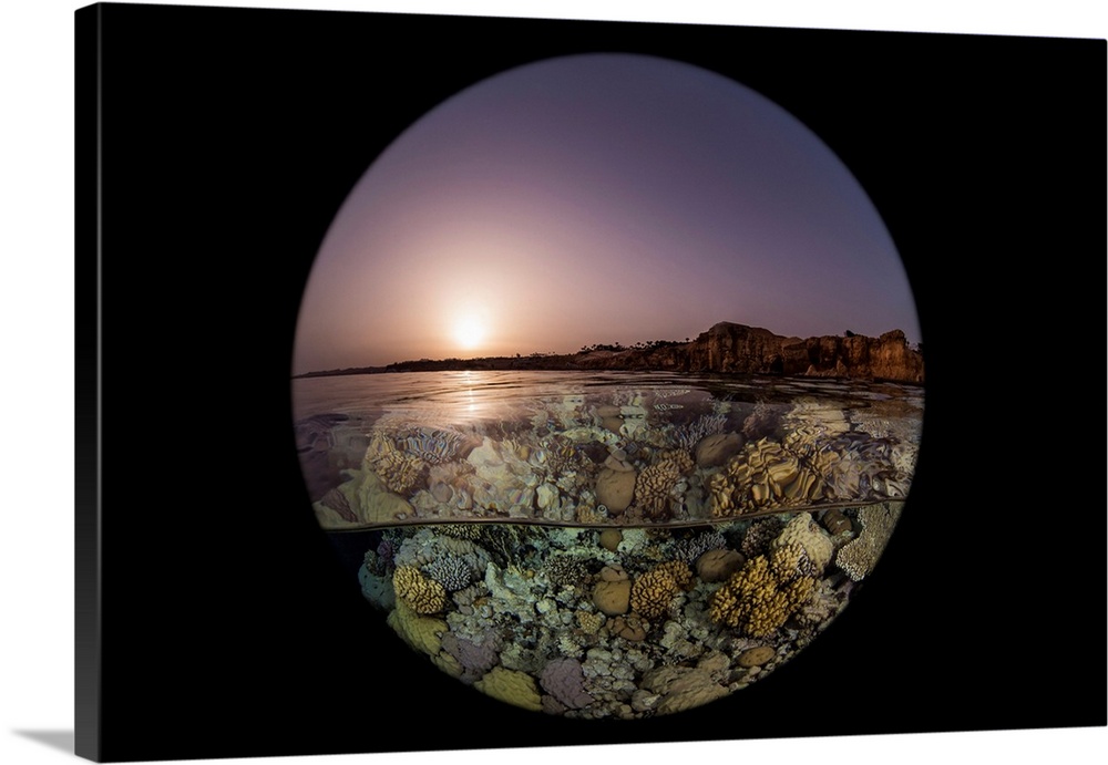 An over under split shot at sunset in the Red Sea.