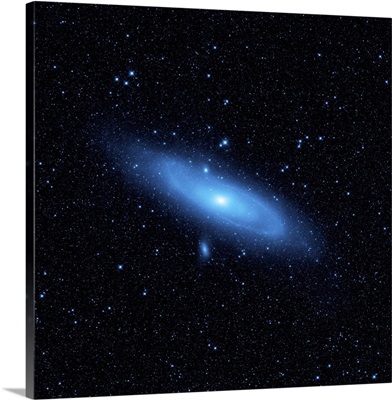 Andromeda galaxys older stellar population in blue