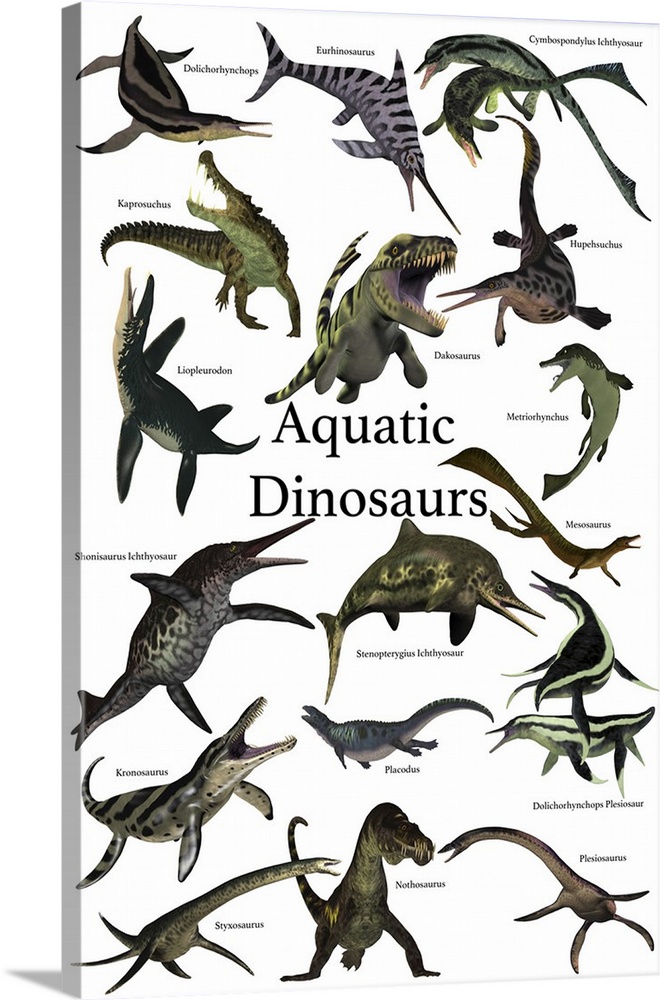 Aquatic dinosaurs poster.