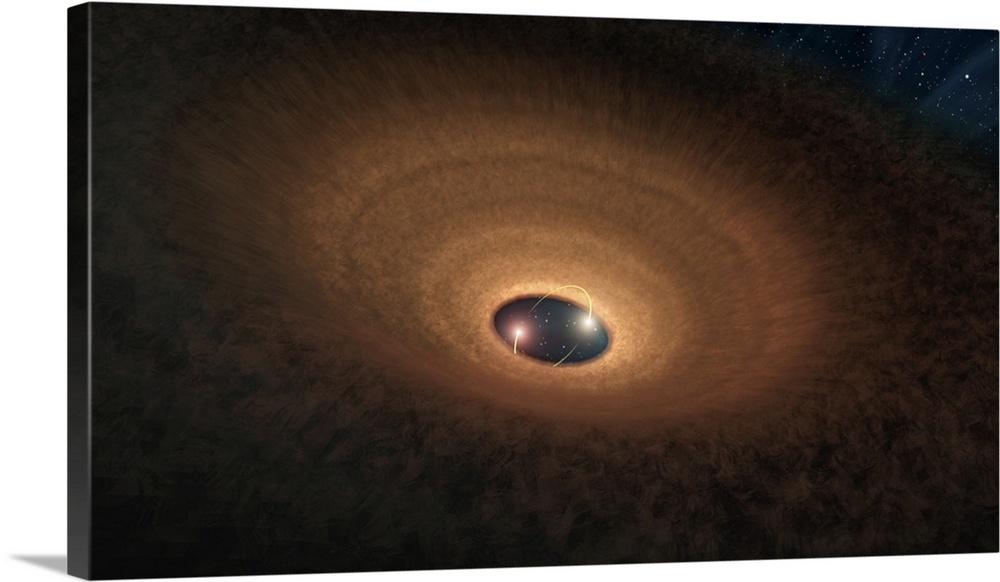 In this artist's impression, a disk of dusty material leftover from star formation girds two young stars like a hula hoop.