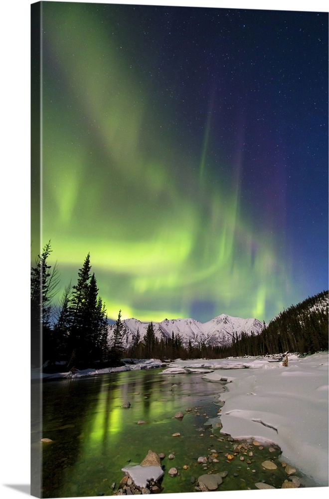 Aurora Borealis, Annie Lake Road, Yukon, Canada.