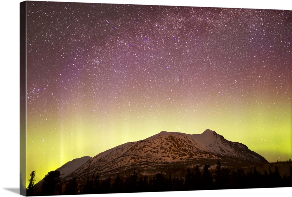 Aurora Borealis, Comet Panstarrs and Milky Way over Carcross Dessert, Carcross, Yukon, Canada.