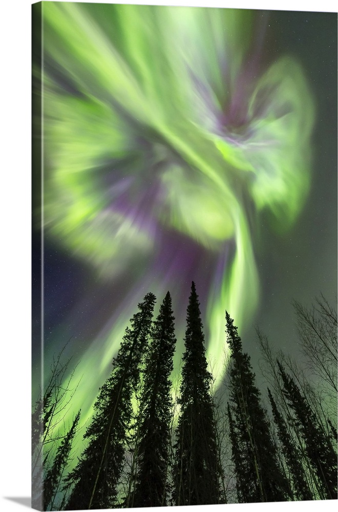 Aurora Borealis, Dempster Highway, Yukon, Canada.