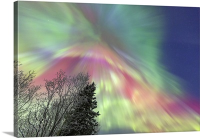 Aurora Borealis, Fish Lake, Whitehorse, Yukon, Canada